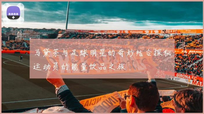 马黛茶与足球明星的奇妙结合探秘运动员的能量饮品之旅