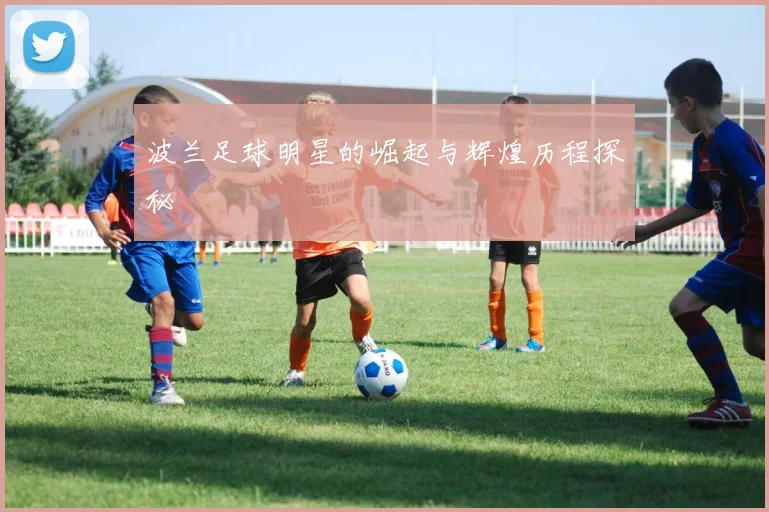 波兰足球明星的崛起与辉煌历程探秘