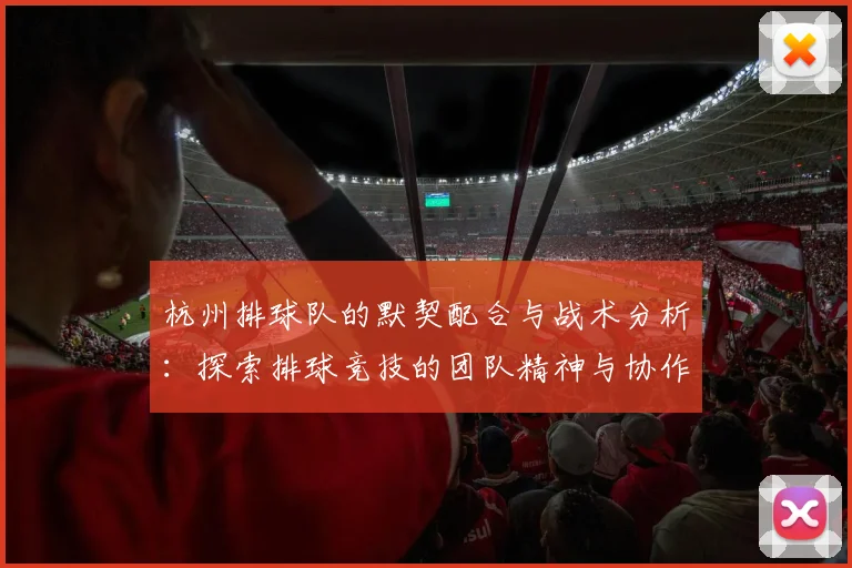 杭州排球队的默契配合与战术分析：探索排球竞技的团队精神与协作之道