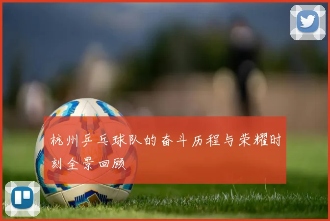 杭州乒乓球队的奋斗历程与荣耀时刻全景回顾