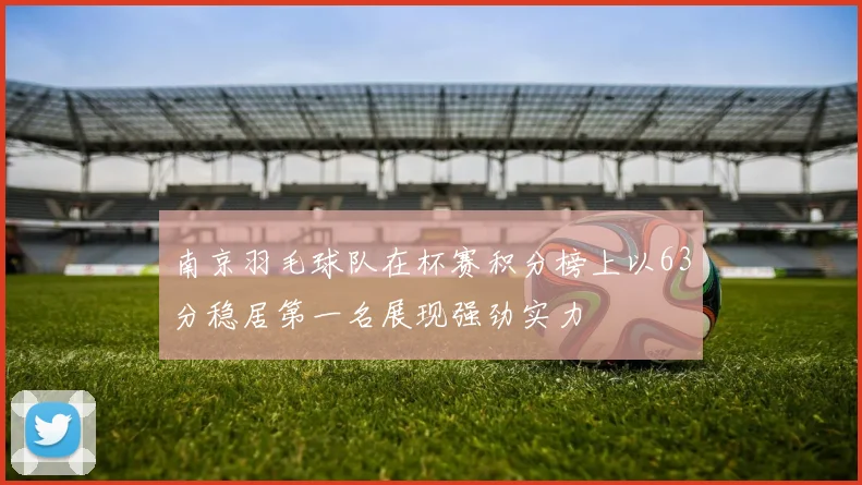 南京羽毛球队在杯赛积分榜上以63分稳居第一名展现强劲实力