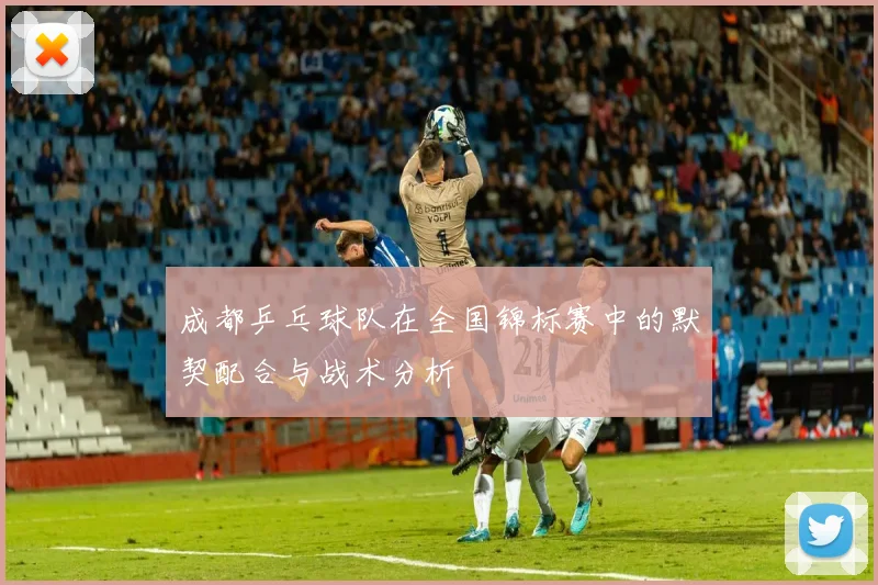 成都乒乓球队在全国锦标赛中的默契配合与战术分析