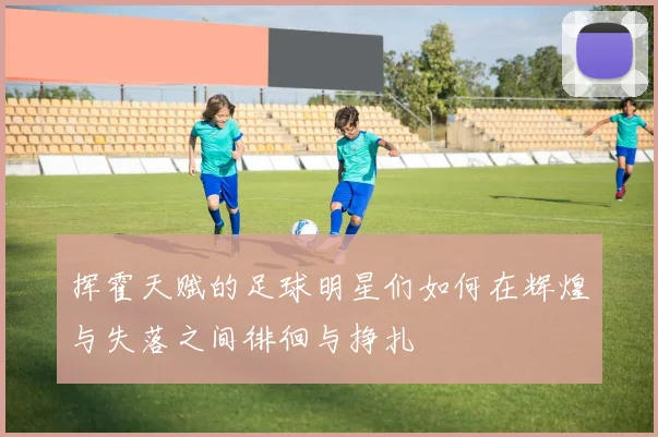 挥霍天赋的足球明星们如何在辉煌与失落之间徘徊与挣扎