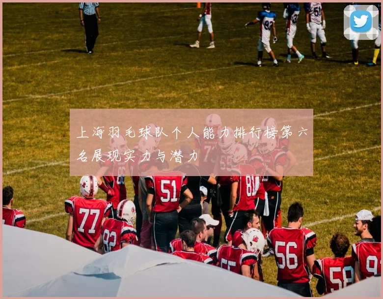 上海羽毛球队个人能力排行榜第六名展现实力与潜力
