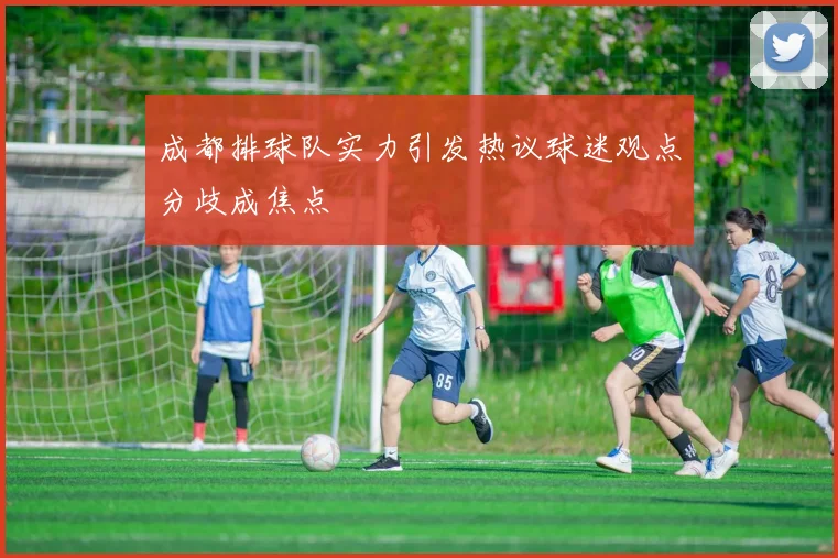 成都排球队实力引发热议球迷观点分歧成焦点