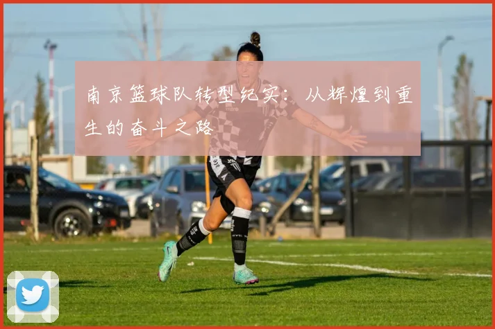 南京篮球队转型纪实：从辉煌到重生的奋斗之路
