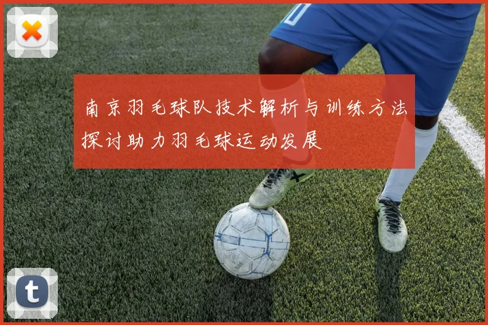 南京羽毛球队技术解析与训练方法探讨助力羽毛球运动发展
