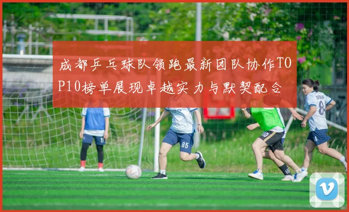 成都乒乓球队领跑最新团队协作TOP10榜单展现卓越实力与默契配合