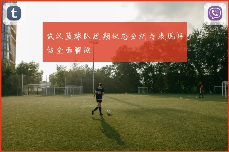 武汉篮球队近期状态分析与表现评估全面解读